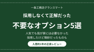 eyecatch option iranai