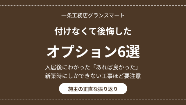 eyecatch option koukai